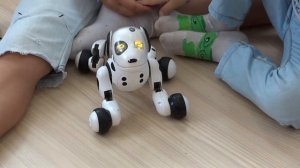 Крутецкая собака робот Зуммер | dog robot