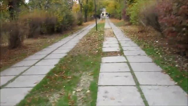 Опять выбросили щенков. Поражает человеческая жестокость. смотреть онлайн