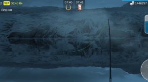 на что ловить палтус атлантический в игре My Fishing World