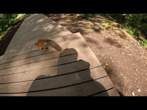 Лето 2022 часть 2