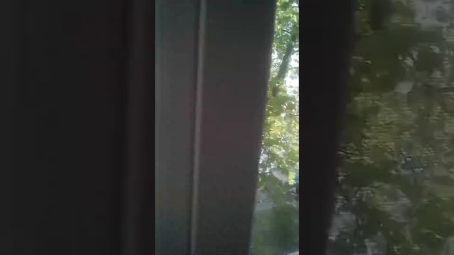 Потрясающая погода на улице выглядит почти как летом? смотреть онлайн