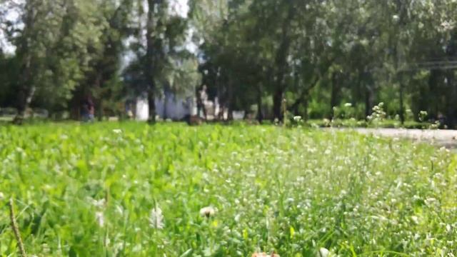 ТЕСТ ВИДЕОКАМЕРЫ НА Xiaomi Mi6 - 4К И СТАБИЛИЗАЦИЯ! смотреть онлайн