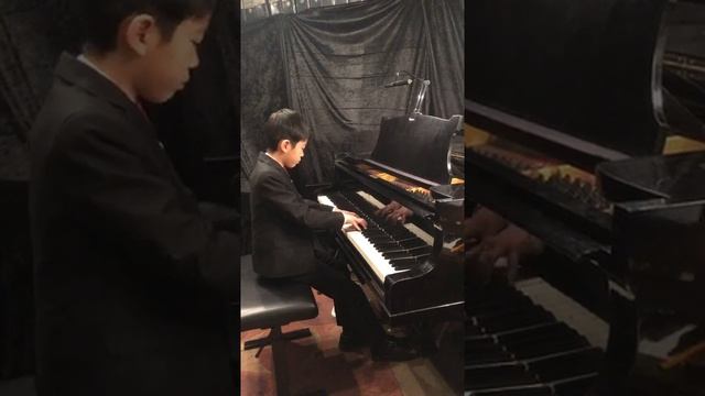 F.Chopin. Mazurka in G minor Op.67 No.2 смотреть онлайн