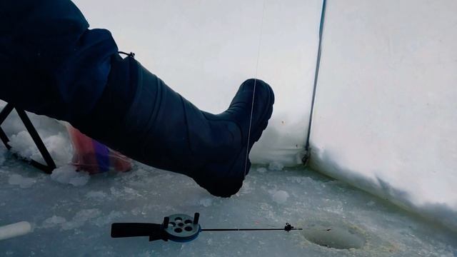 Чудское озеро, зимняя рыбалка. смотреть онлайн