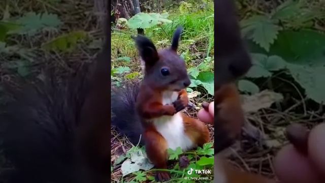 я хз что тут написать, ну тип я что-то написал прикольное.🙃 смотреть онлайн