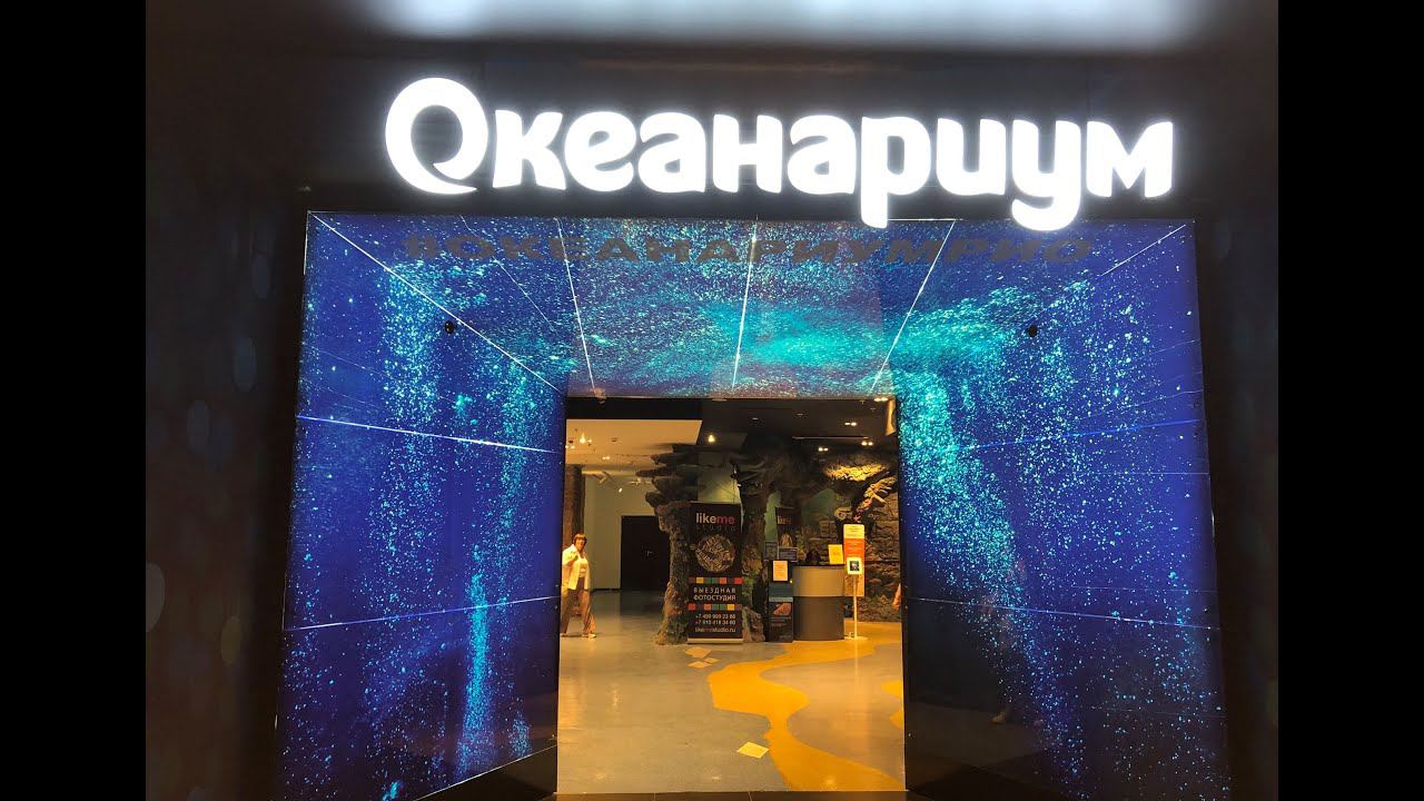 ОКЕАНАРИУМ. Интересные места Москвы. смотреть онлайн