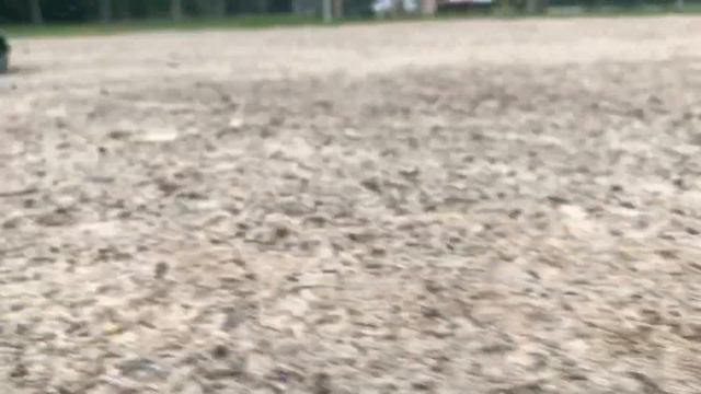 THIS RC RALLY MODEL IS ART IN MOTION | TAMIYA MF-01X RUNNING VIDEO смотреть онлайн