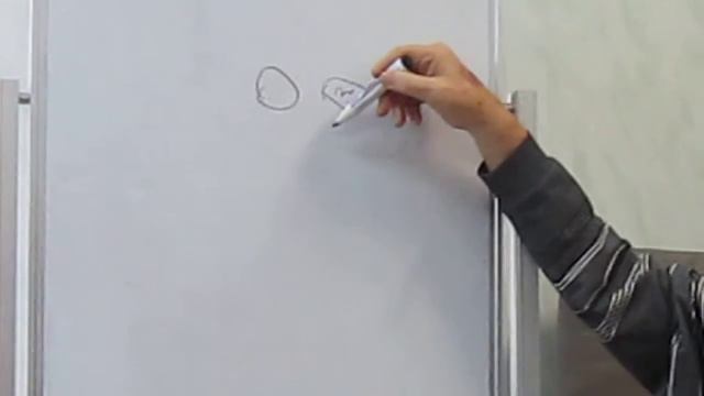 Мороз В.Н. «Чем можно объяснить выбор пола у будущего ребёнка» 22.01.2017 смотреть онлайн