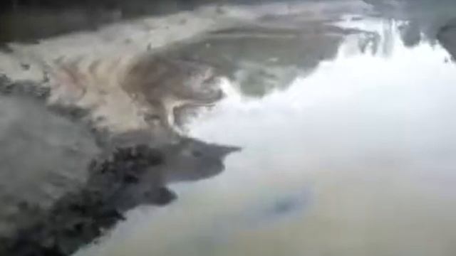 Солнце не щадит не кого. смотреть онлайн