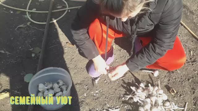 Семейный уют