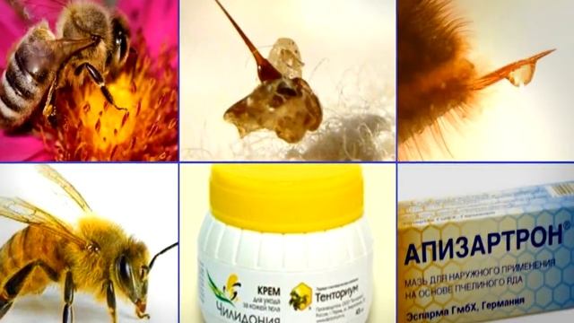 6 самых необычных компонентов современной косметики. Из чего делают современную косметику смотреть онлайн