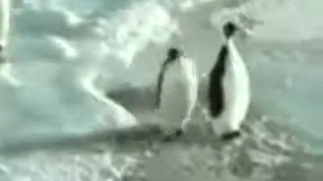 5 ноября 2016 г. смотреть онлайн