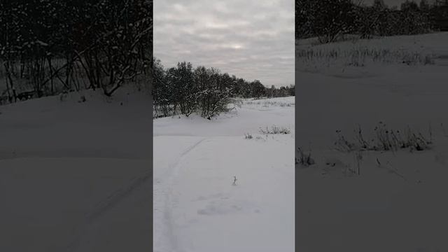 Рыбалка и природа ч. 2 смотреть онлайн