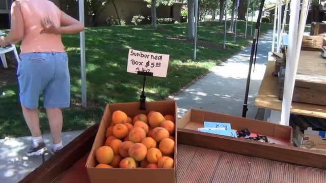 США 1664: Абрикосы Кремниевой Долины смотреть онлайн