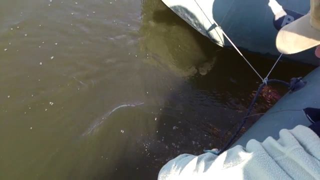 карась на спиннинг весной 2014 на Старобешево. смотреть онлайн