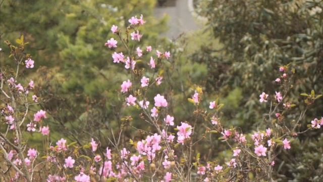 Пожилая женщина тратила часть пенсии на мальчиков. Но однажды на вызов пришёл мужчина постарше... смотреть онлайн
