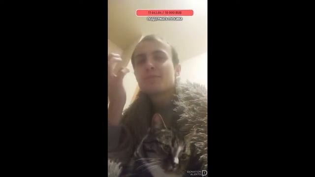 Ночной стрим! Общаемся с подписчиками в чате о мафии 2 и не только! смотреть онлайн