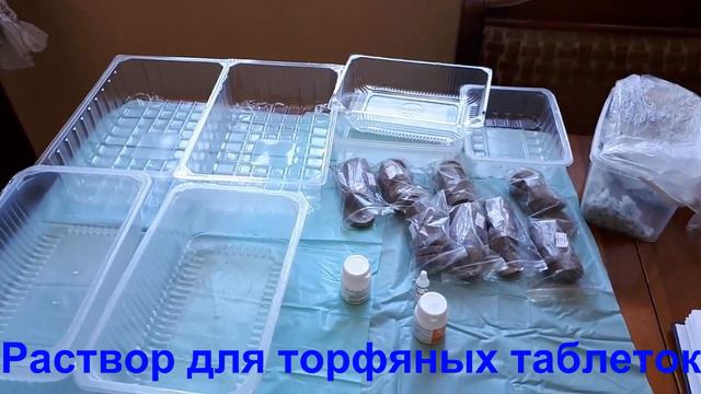 21.02.2018-23.02.2018 ПОСЕВ СЛАДКОГО И ГОРЬКОГО ПЕРЦЕВ. РАСТВОРЫ ДЛЯ ЗАМАЧИВАНИЯ. смотреть онлайн