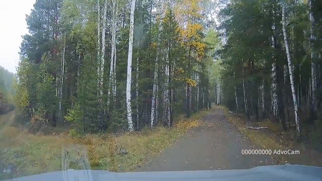 Среди осеннего леса 2016-09-24 смотреть онлайн