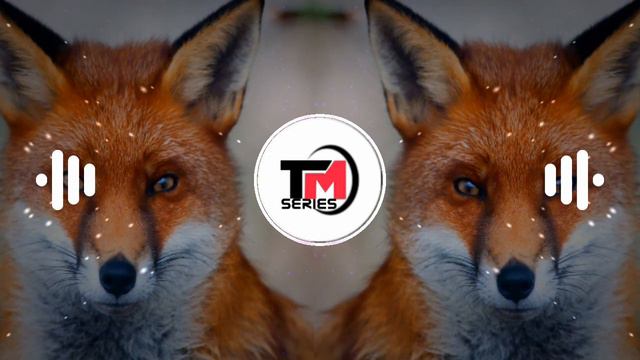 🐯😈🔥NEW OMKAR 72+ Competition Horn Tuzya Usala Lagal kolha😱Competition Mix🎤 DJ Maddy Miking TM Serie смотреть онлайн