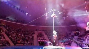 Цирк на воде Шевченко