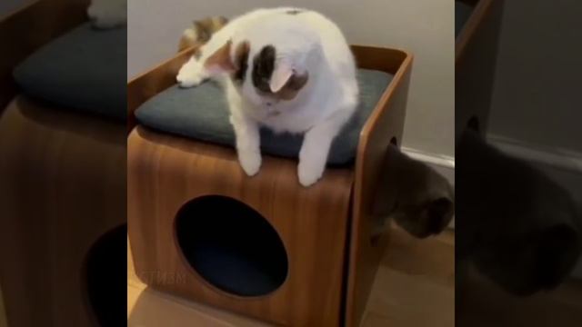 ... ушёл незамеченным...??? смотреть онлайн