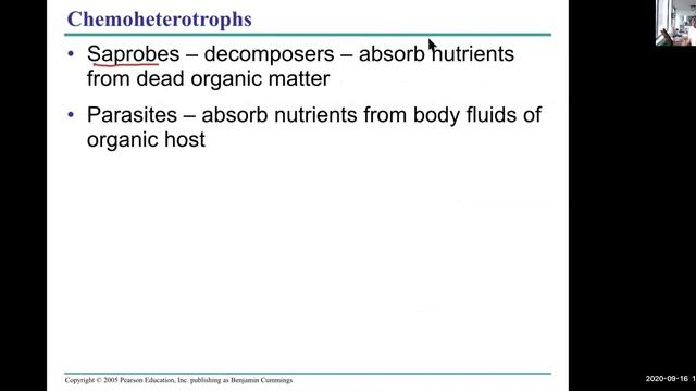 1100 Ch 27 prokaryotes part 2 смотреть онлайн
