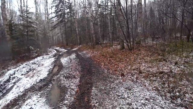 Поехали отводить участок под пасеку, с лесниками. смотреть онлайн