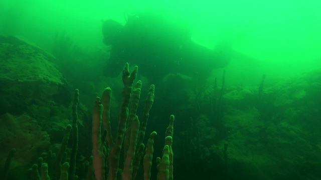 ПОГРУЖЕНИЕ В СЕБЯ DIVING INSIDE смотреть онлайн