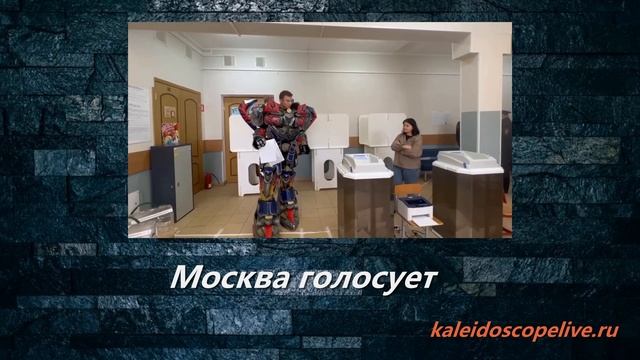Москва голосует смотреть онлайн