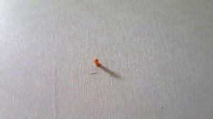 Вешаем на стену на специальные крепления зеркало-стекло без окантовки.