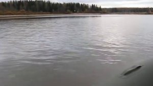 лодка NORDIC 330 мотор NISSAN nsf 8