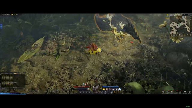 Lost Ark - Tortoyk Collectible Farming смотреть онлайн