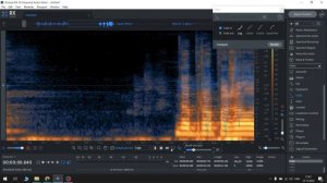 iZotope RX 10 | Удаление ненужных звуков через спектр