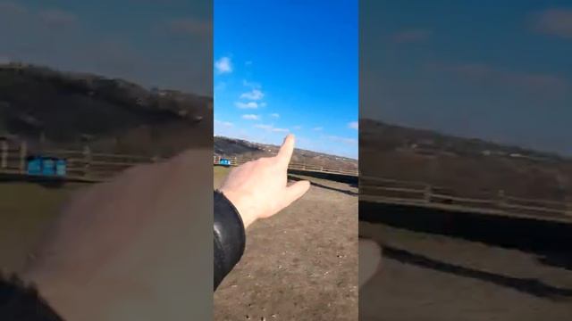 ДРАКОН И ЖЕНА, ВОТ ЧТО ЗНАЧИТ ДИКИЙ ВОСТОРГ смотреть онлайн