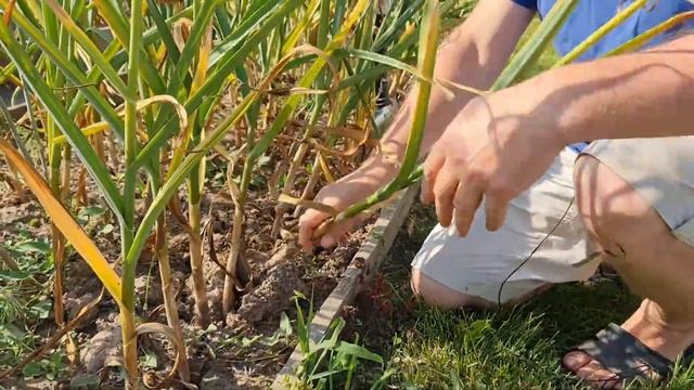 Фотография Моды и Глянцевых Журналов