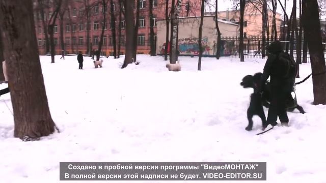 МАГНУС 2,8 г смотреть онлайн