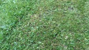 Нож для газонокосилки своими руками! Быстро! Дёшево!