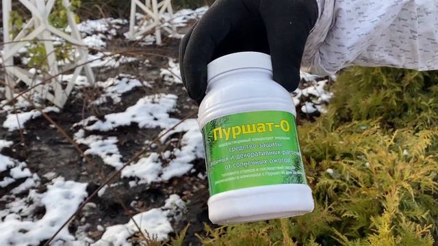 Школа Садовника "Защита хвойных от весенних ожогов" смотреть онлайн