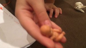 Обзор беременной барби и подделок из бумаги