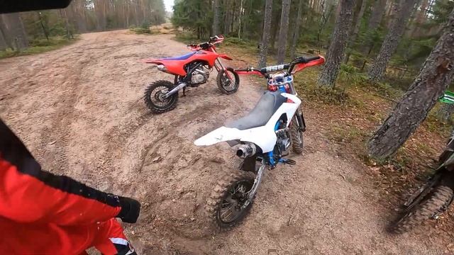 Лесной Прохват С Владельцем Кошайна - Китайского Двухтактника / Покатушки на питбайке Бсе и Аполло смотреть онлайн