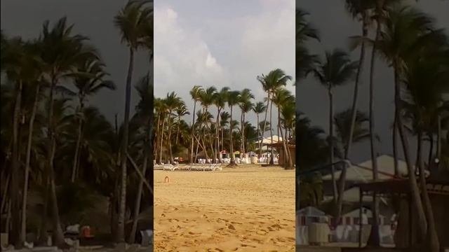 Uvero Alto, Punta Cana смотреть онлайн
