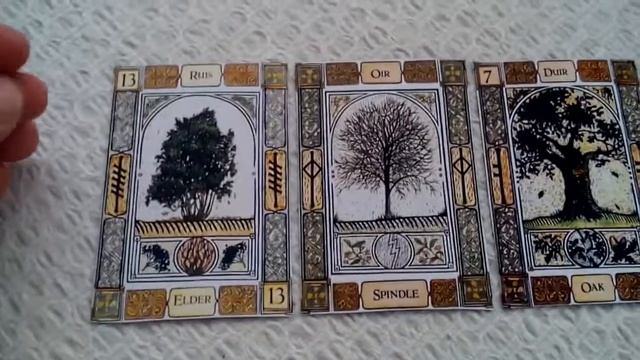 Celtic Tree Oracle Ogham Reading смотреть онлайн