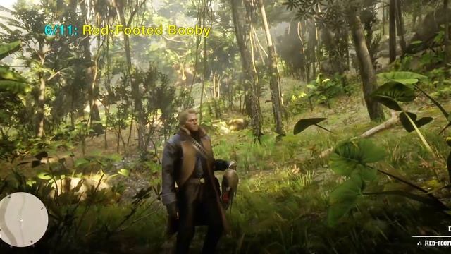 All 11 Guarma Animals in Red Dead Redemption 2 (RDR2): Rare Green Turtle and Locations смотреть онлайн