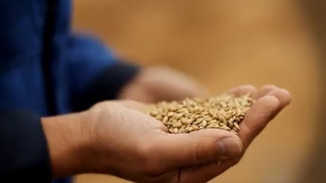 Справедливая Россия - Доронин смотреть онлайн