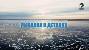 Принципы летней ловли на удилище с боковым кивком в камыше // Рыбалка в деталях