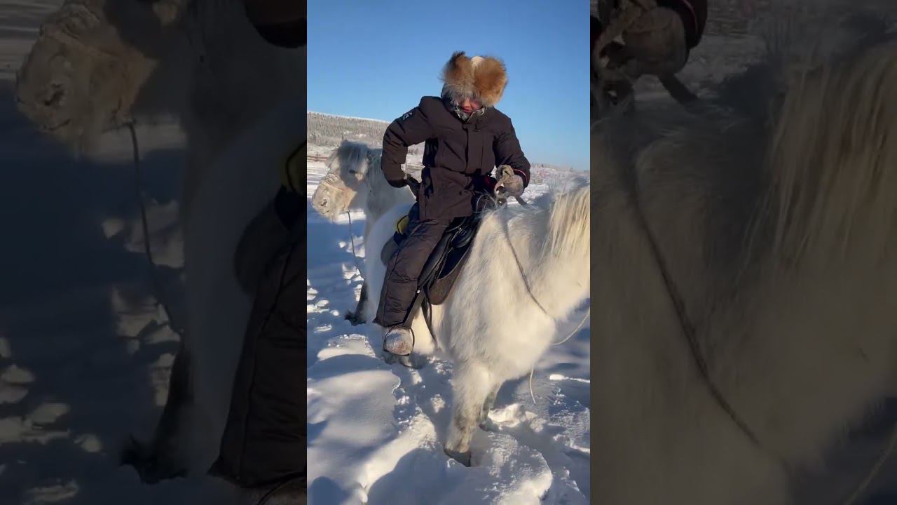 BASK для всадников. смотреть онлайн