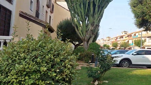 Утро в Испании...лето прекрасная пора смотреть онлайн