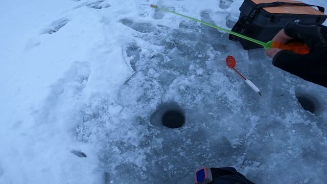 ВОРОНЕЖСКОЕ ВОДОХРАНИЛИЩЕ l ЗИМНЯЯ РЫБАЛКА С ДРУГОМ смотреть онлайн