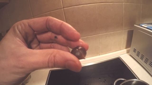 Два способа приготовления каштана съедобного смотреть онлайн